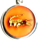 Wholesale jewelry amber jewelry